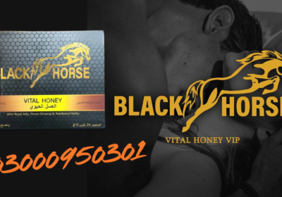 black-horse-original-Copy-2-12